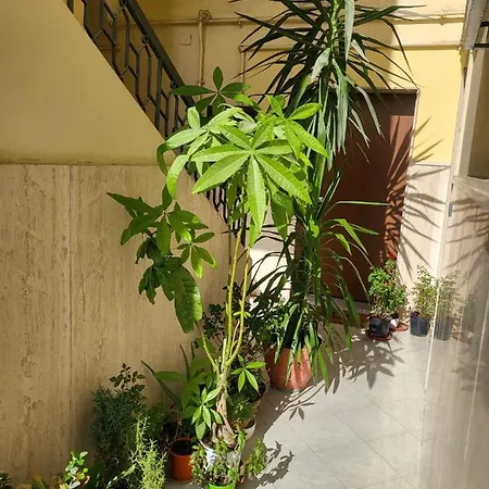 Il Balcone Sulla Piazza Casa vacanze *