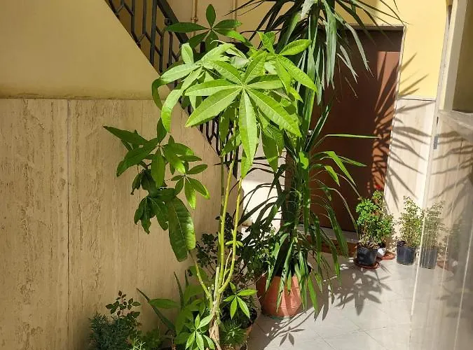 Il Balcone Sulla Piazza بيت للعطل *